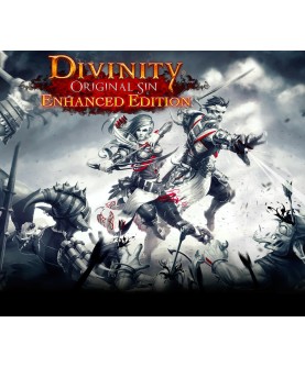 Divinity: Original Sin Enhanced Edition Gift Steam Key GLOBAL